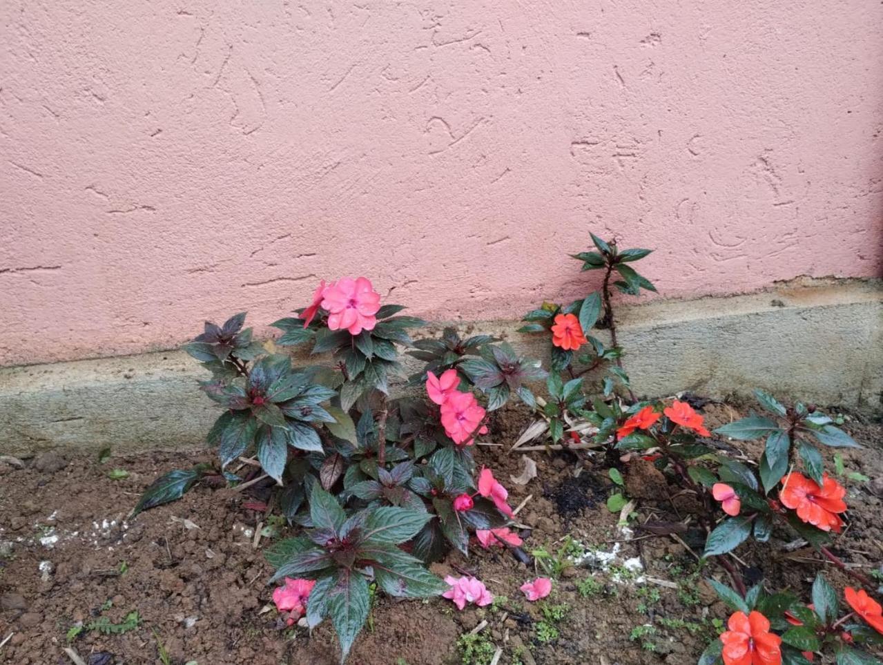 Pousada Morretes Arraial Dış mekan fotoğraf